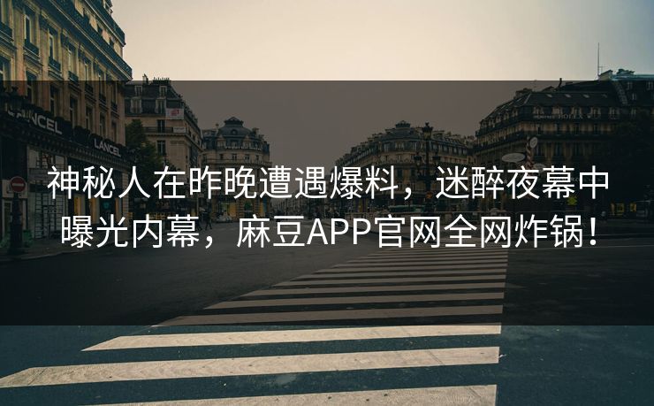 神秘人在昨晚遭遇爆料，迷醉夜幕中曝光内幕，麻豆APP官网全网炸锅！