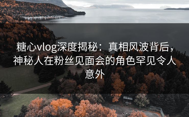 糖心vlog深度揭秘：真相风波背后，神秘人在粉丝见面会的角色罕见令人意外